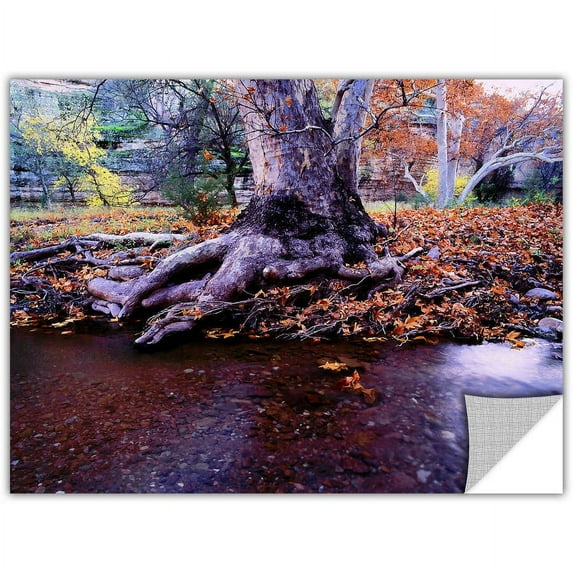 Dean Uhlinger Aravaipa Canyon Creek, Art Appeelz Removable Wall Art Graphic