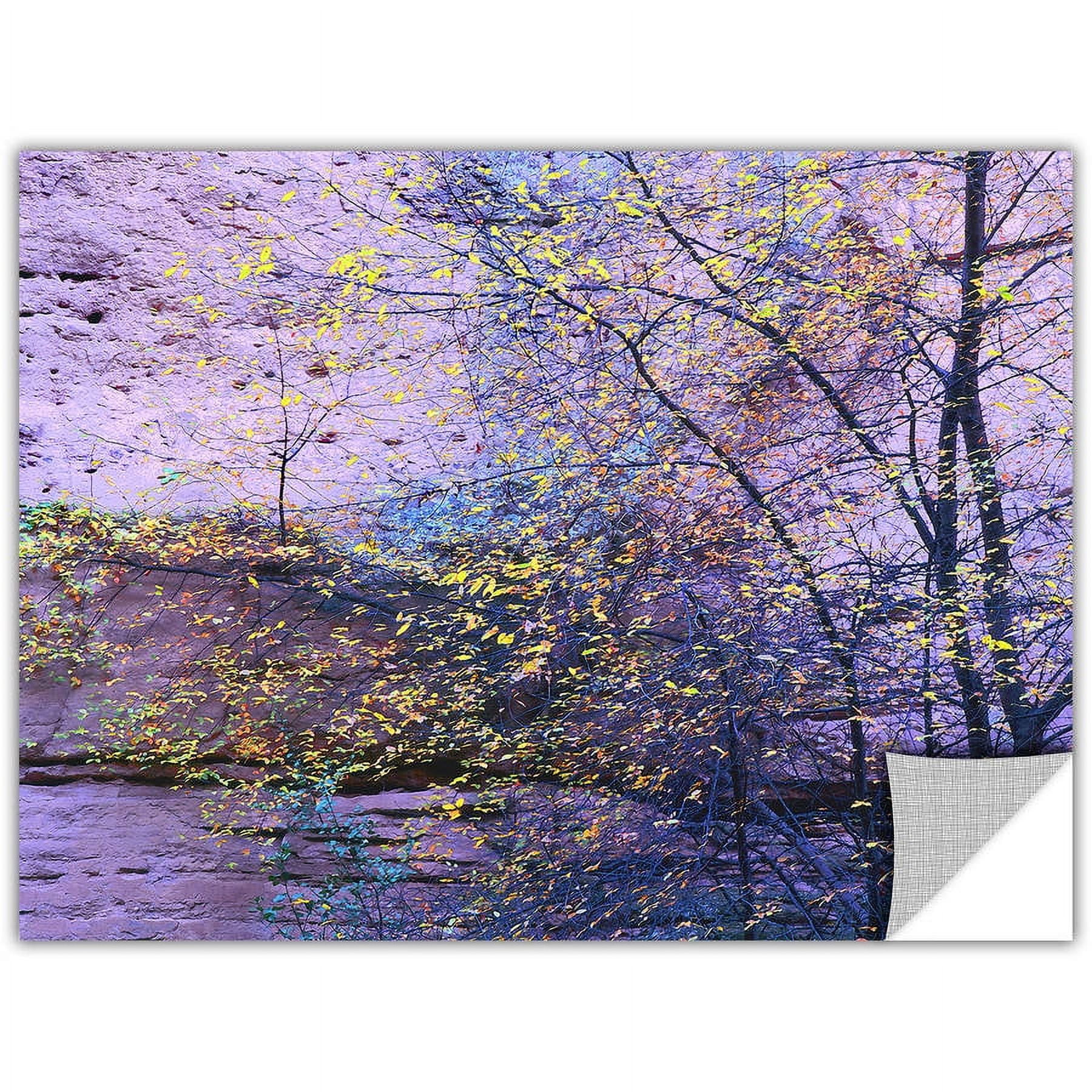 Dean Uhlinger Aravaipa Canyon Dusk, Art Appeelz Removable Wall Art Graphic