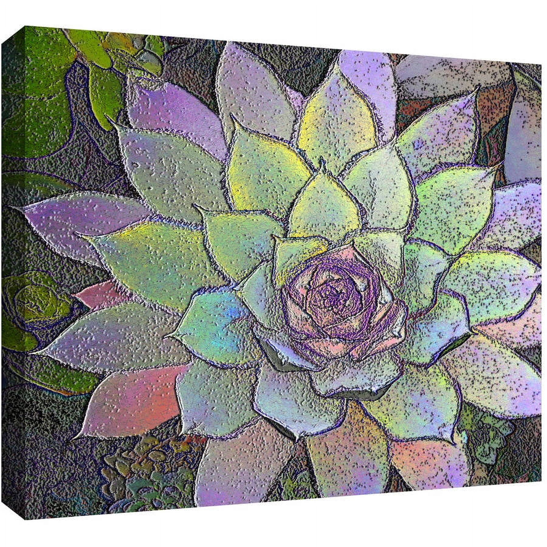 Dean Uhlinger "Arco Iris Suculento" Gallery-Wrapped Canvas