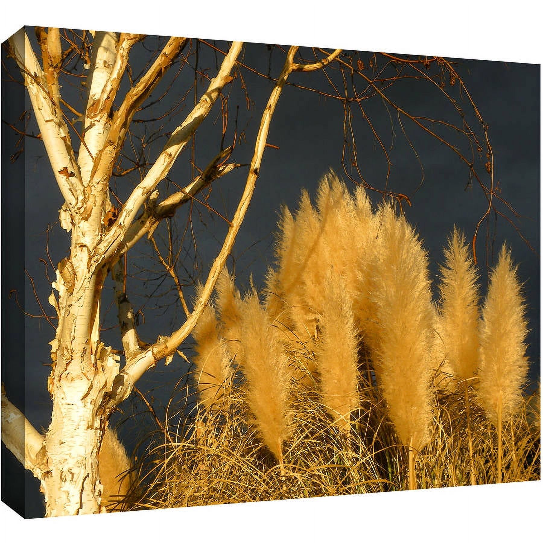 Dean Uhlinger "Autumn Storm Light" Gallery-Wrapped Canvas