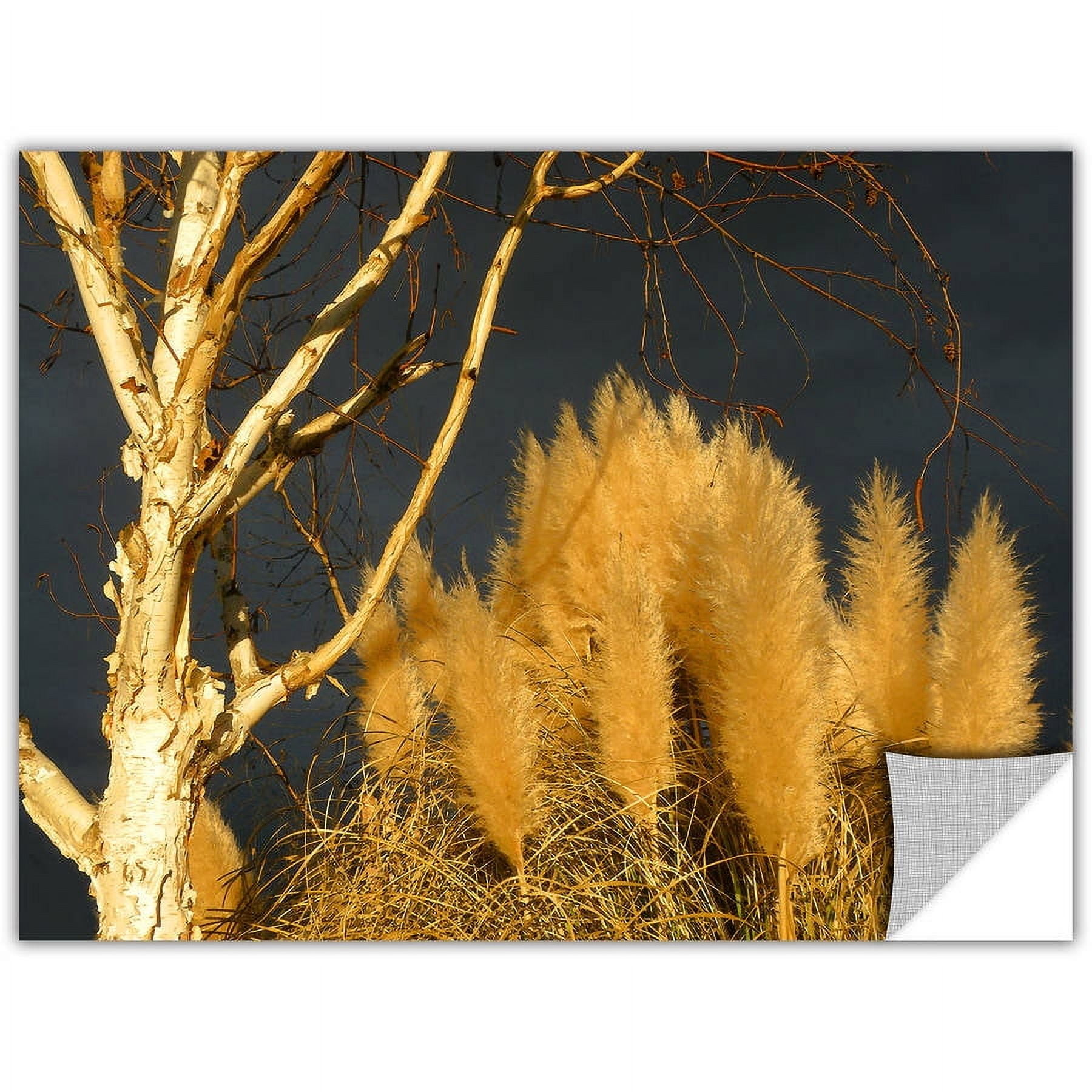 Dean Uhlinger "Autumn Storm Light" Removable Wall Art