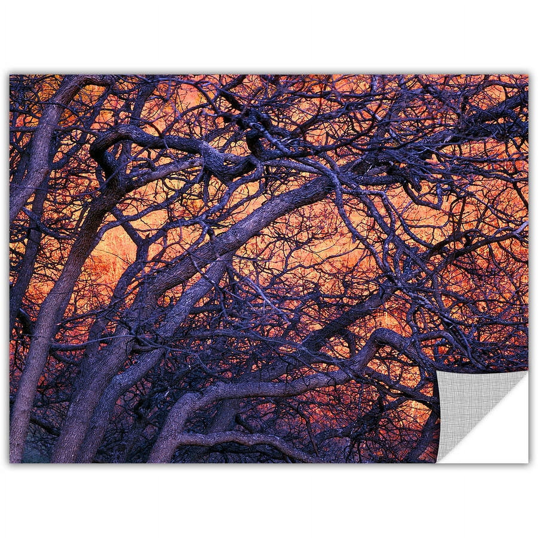 Dean Uhlinger "Black Oak Sunset" Removable Wall Art