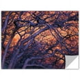 thumbnail image 1 of Dean Uhlinger "Black Oak Sunset" Removable Wall Art, 1 of 2