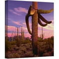 thumbnail image 1 of Dean Uhlinger "Border Twilight" Gallery-Wrapped Canvas, 1 of 1