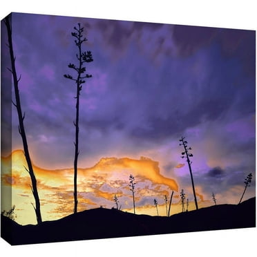 Dean Uhlinger "Borrego Desert Dawn" Gallery-Wrapped Canvas