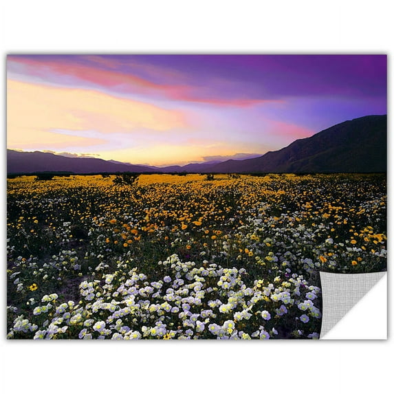 Dean Uhlinger Borrego Desert Spring, Art Appeelz Removable Wall Art Graphic