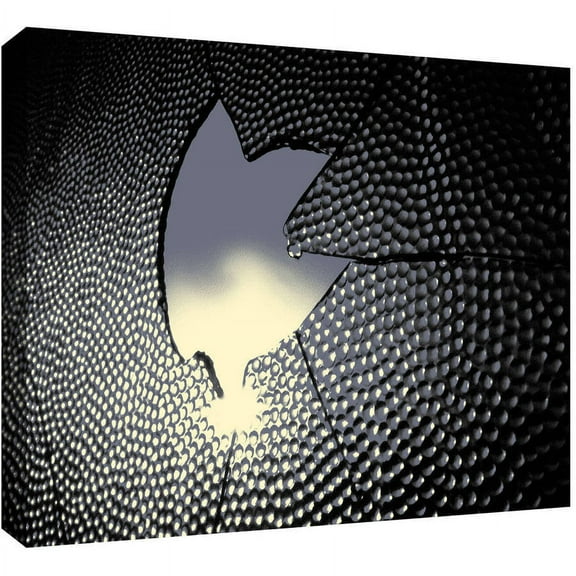 Dean Uhlinger 'Broken Peace' Gallery-wrapped Canvas