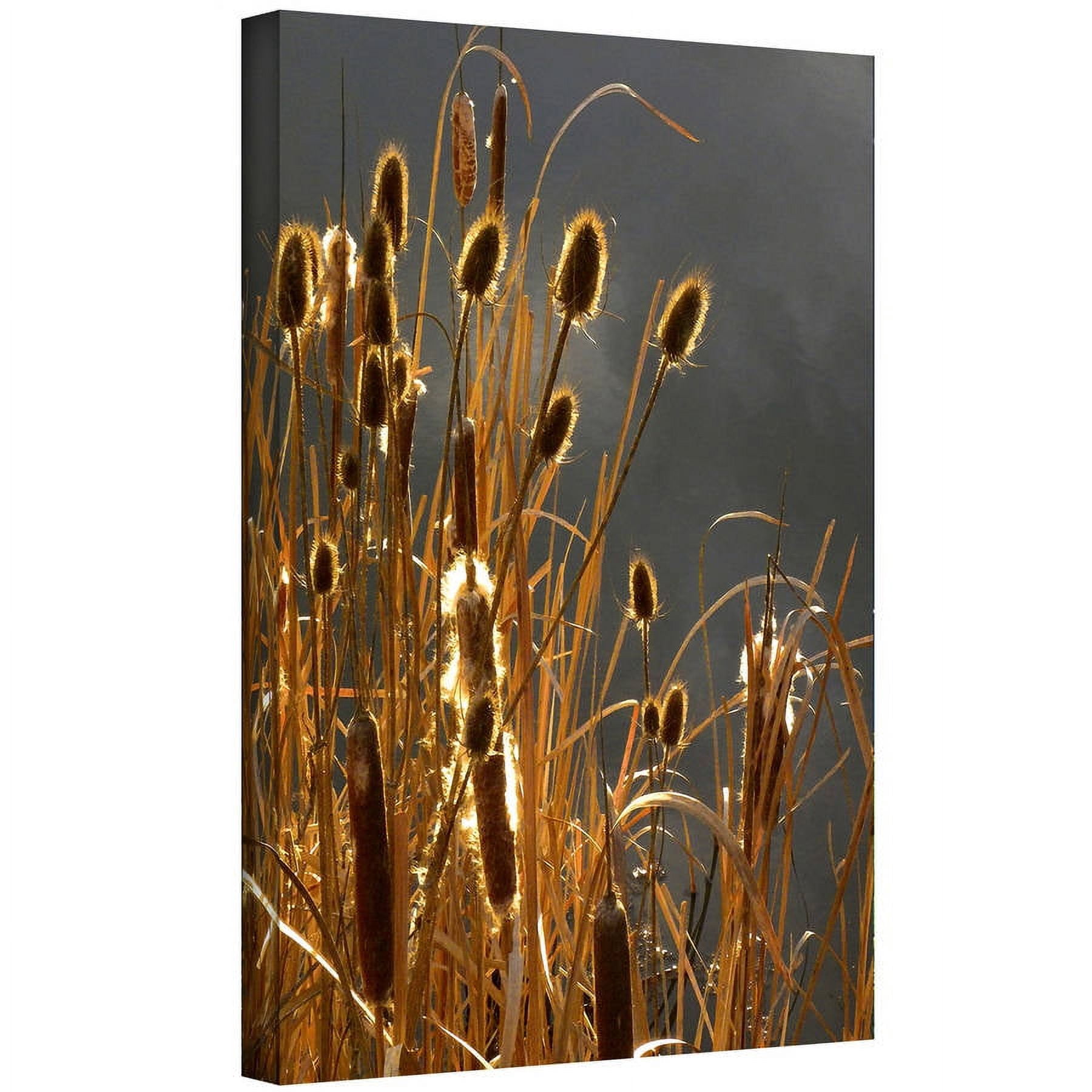 Dean Uhlinger "Cattails And Storm Light" Gallery-Wrapped Canvas