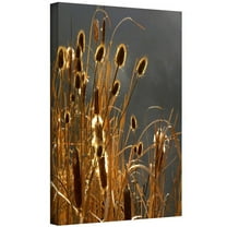 Dean Uhlinger "Cattails And Storm Light" Gallery-Wrapped Canvas