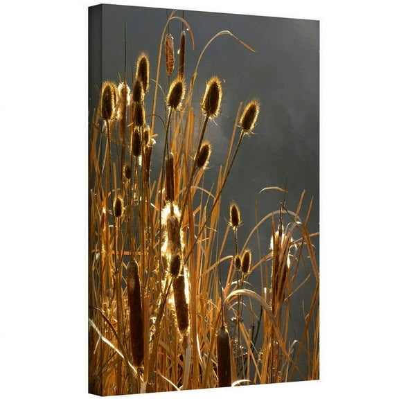 Dean Uhlinger "Cattails And Storm Light" Gallery-Wrapped Canvas