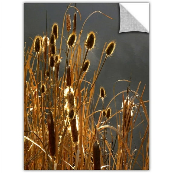 Dean Uhlinger "Cattails And Storm Light" Removable Wall Art