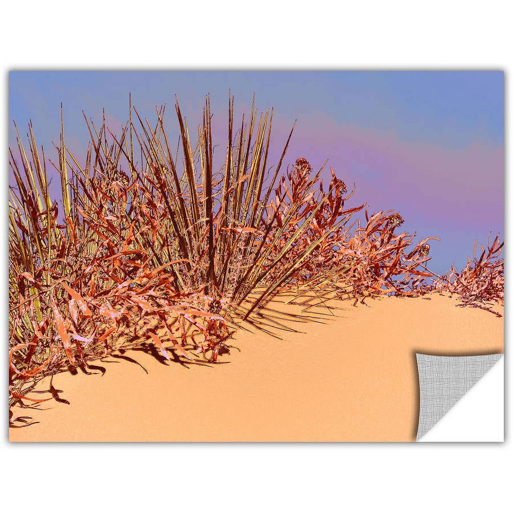 Dean Uhlinger Coral Dunes Noon, Art Appeelz Removable Wall Art Graphic