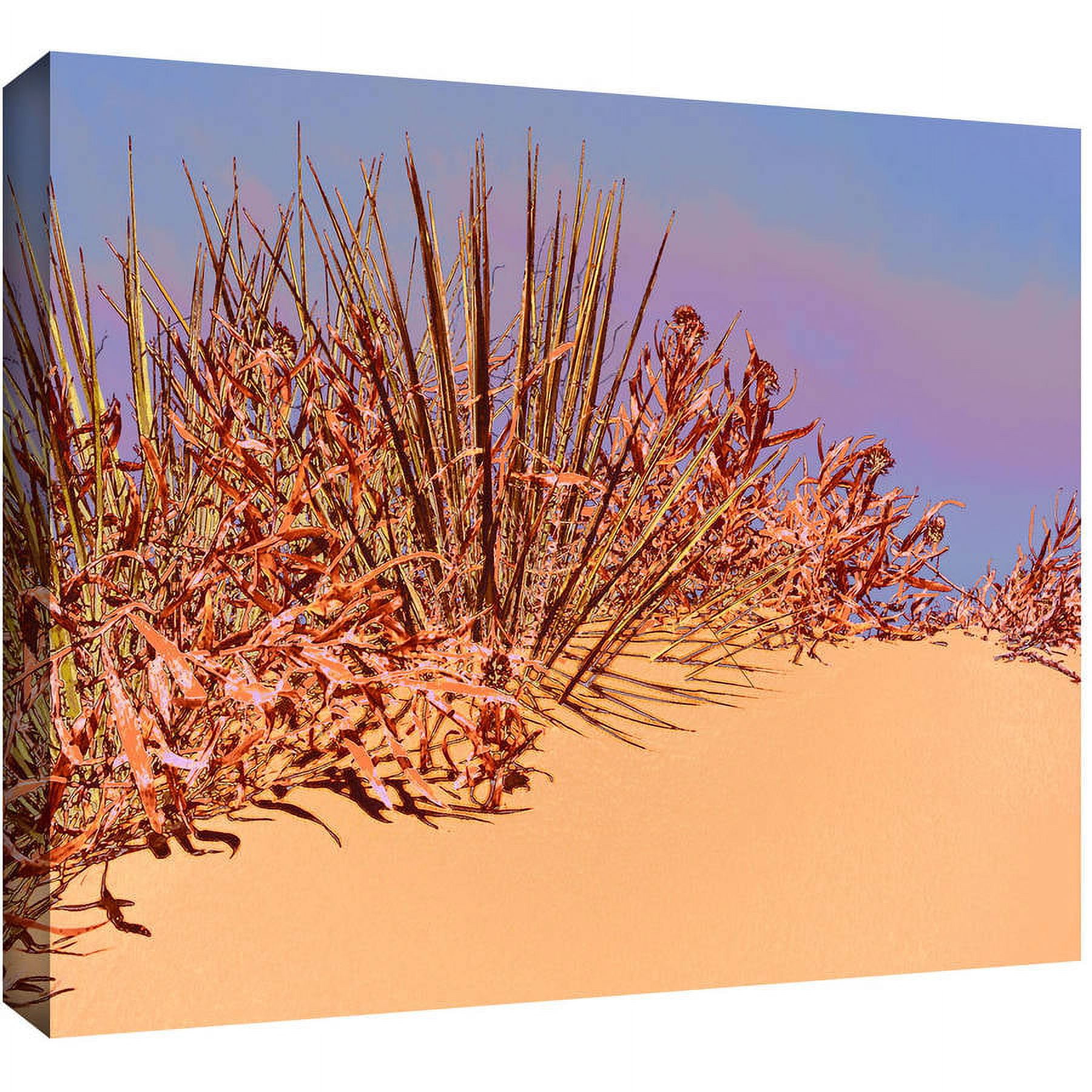 Dean Uhlinger 'Coral Dunes Noon' Gallery-wrapped Canvas