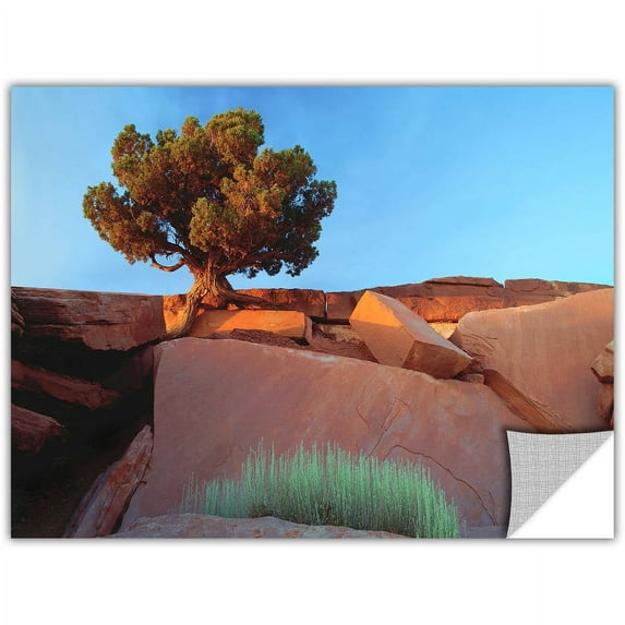 Dean Uhlinger Dead Horse Point, Art Appeelz Removable Wall Art Graphic