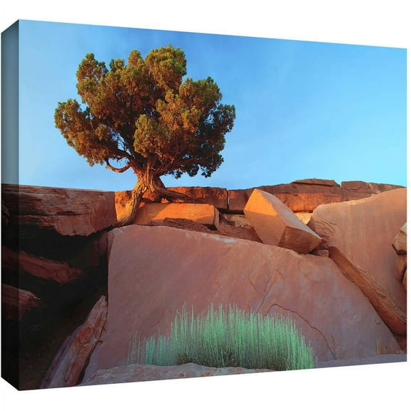 Dean Uhlinger "Dead Horse Point" Gallery-Wrapped Canvas