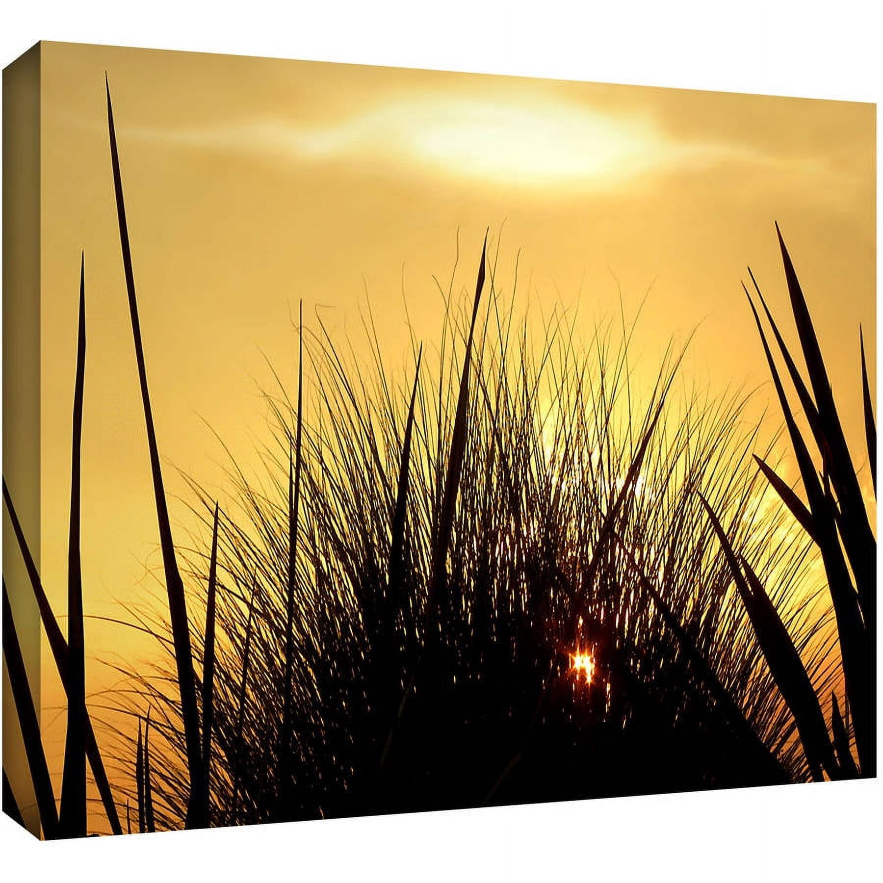 Dean Uhlinger "Deep In July" Gallery-Wrapped Canvas
