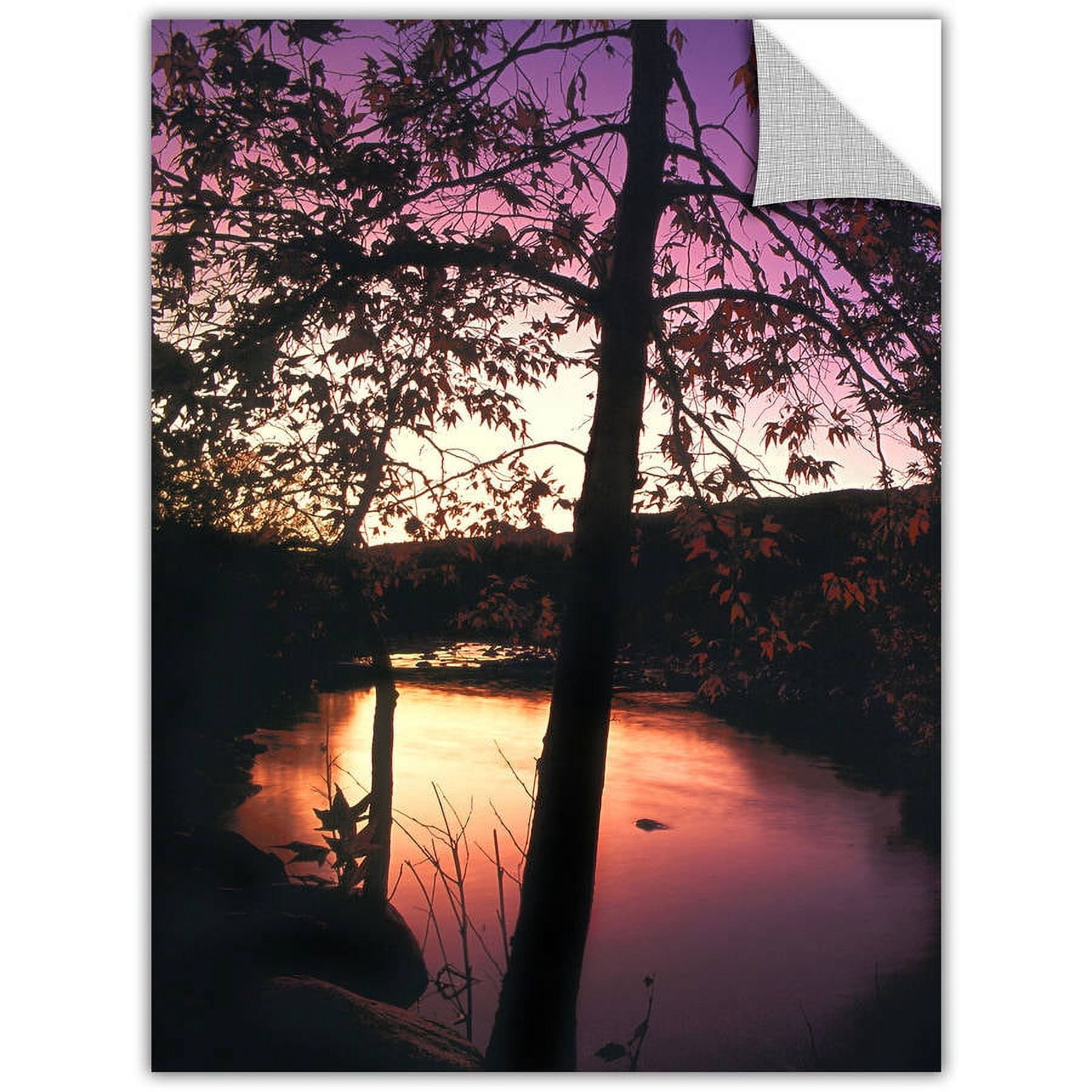 Dean Uhlinger "Deer Creek Afterglow" Removable Wall Art