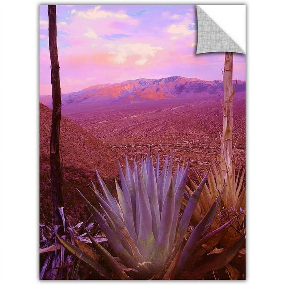 Dean Uhlinger Desert Cycle, Art Appeelz Removable Wall Art Graphic