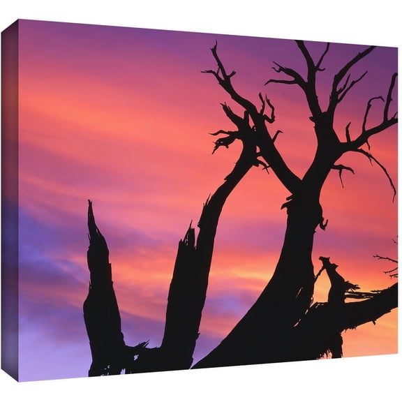 Dean Uhlinger "Desert Magic Hour" Gallery-Wrapped Canvas