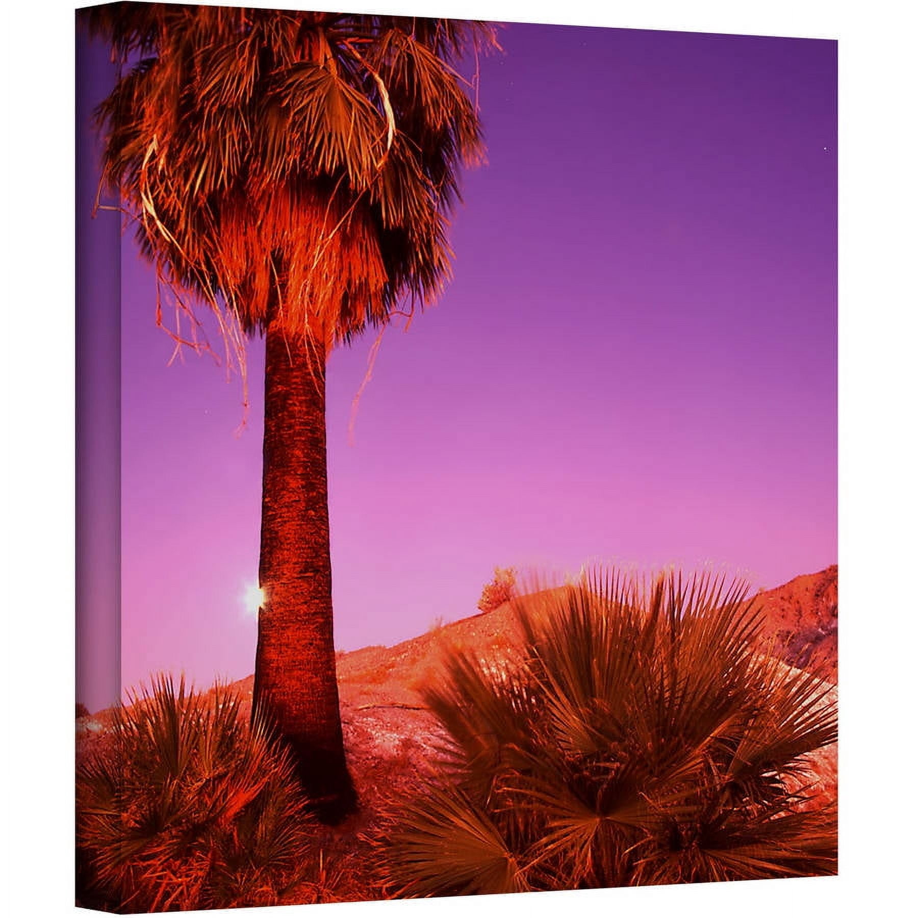 Dean Uhlinger 'Desert Moon ' Gallery-wrapped Canvas