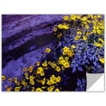 thumbnail image 1 of Dean Uhlinger Desert Sunflower Dusk, Art Appeelz Removable Wall Art Graphic, 1 of 1