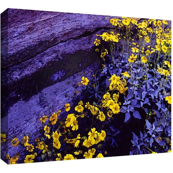 Dean Uhlinger "Desert Sunflower Dusk" Gallery-Wrapped Canvas