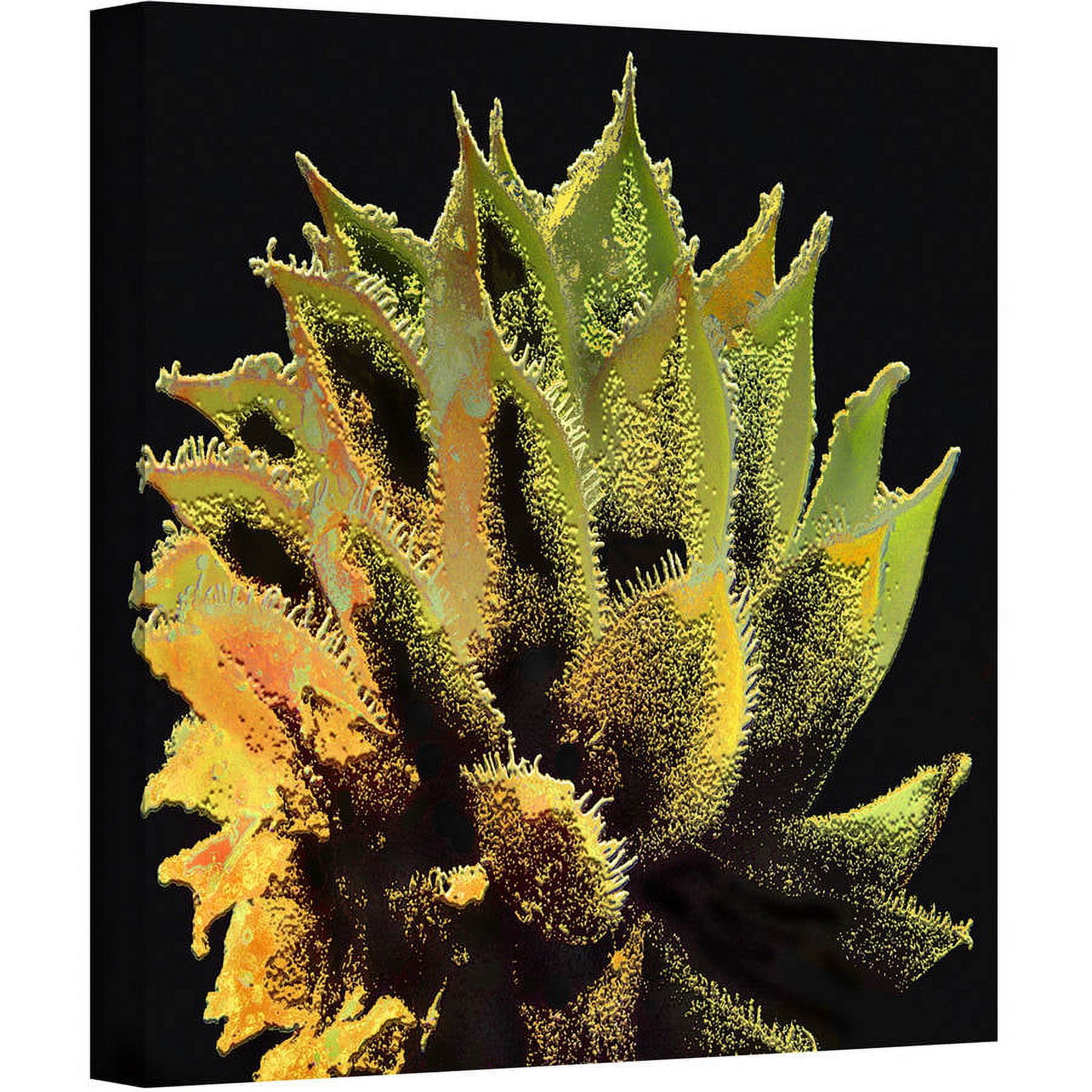 Dean Uhlinger "Desert Vision" Gallery-Wrapped Canvas