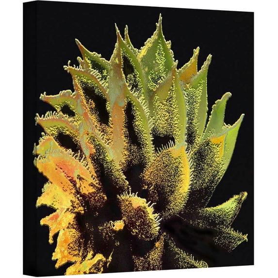 Dean Uhlinger "Desert Vision" Gallery-Wrapped Canvas