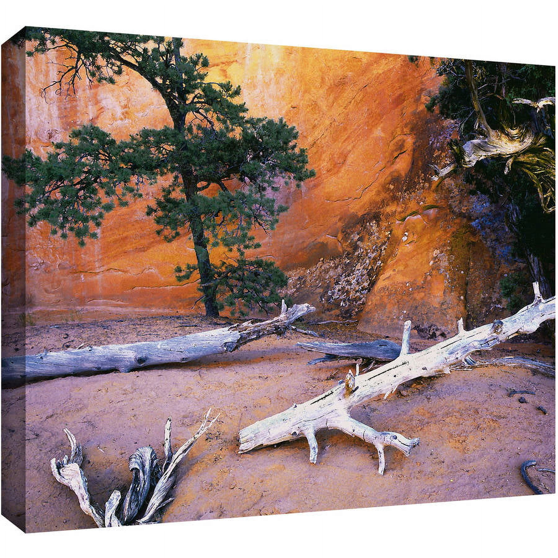 Dean Uhlinger "Devils Garden" Gallery-Wrapped Canvas