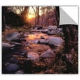 thumbnail image 1 of Dean Uhlinger Domeland Wilderness, Art Appeelz Removable Wall Art Graphic, 1 of 1
