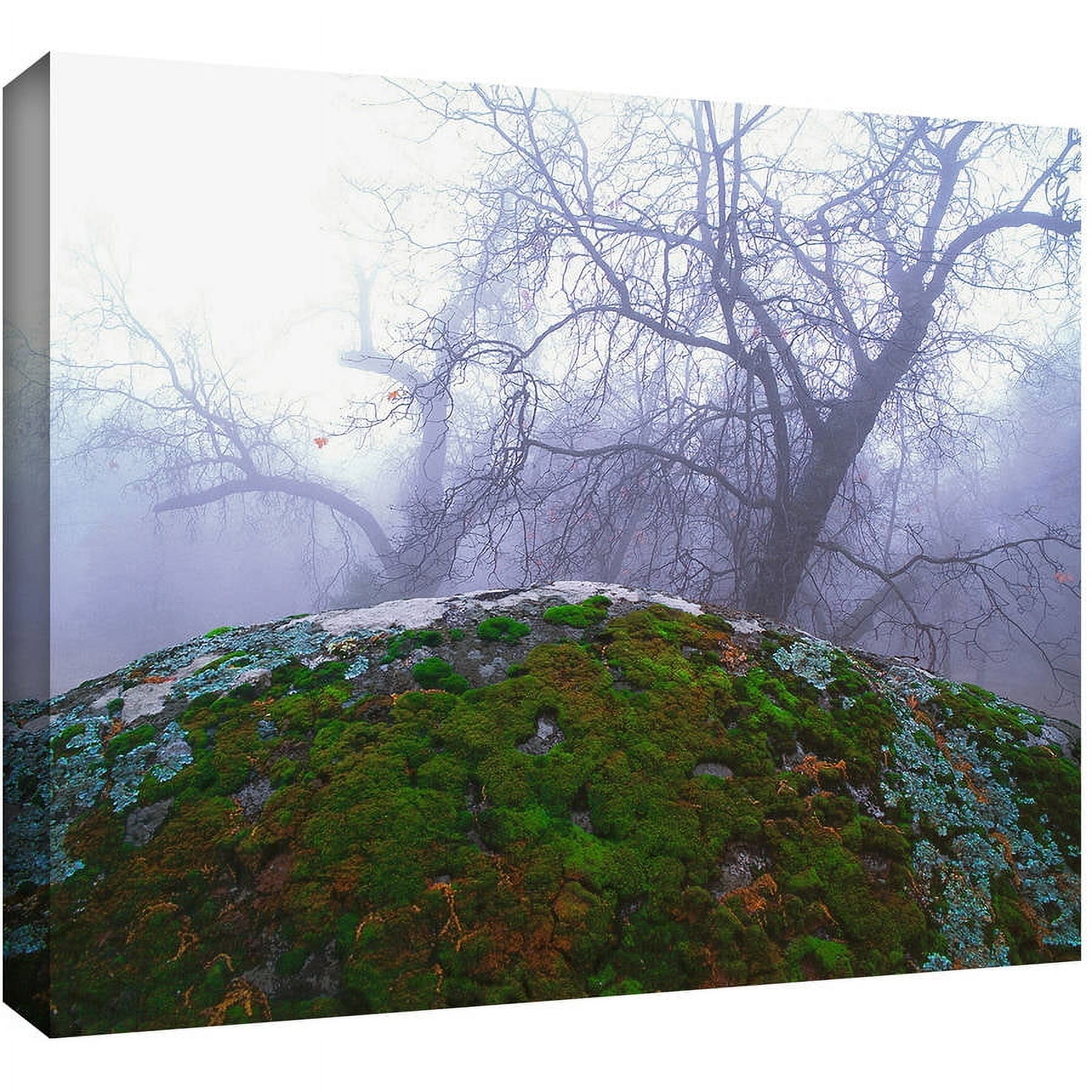 Dean Uhlinger "Domeland Winter" Gallery-Wrapped Canvas
