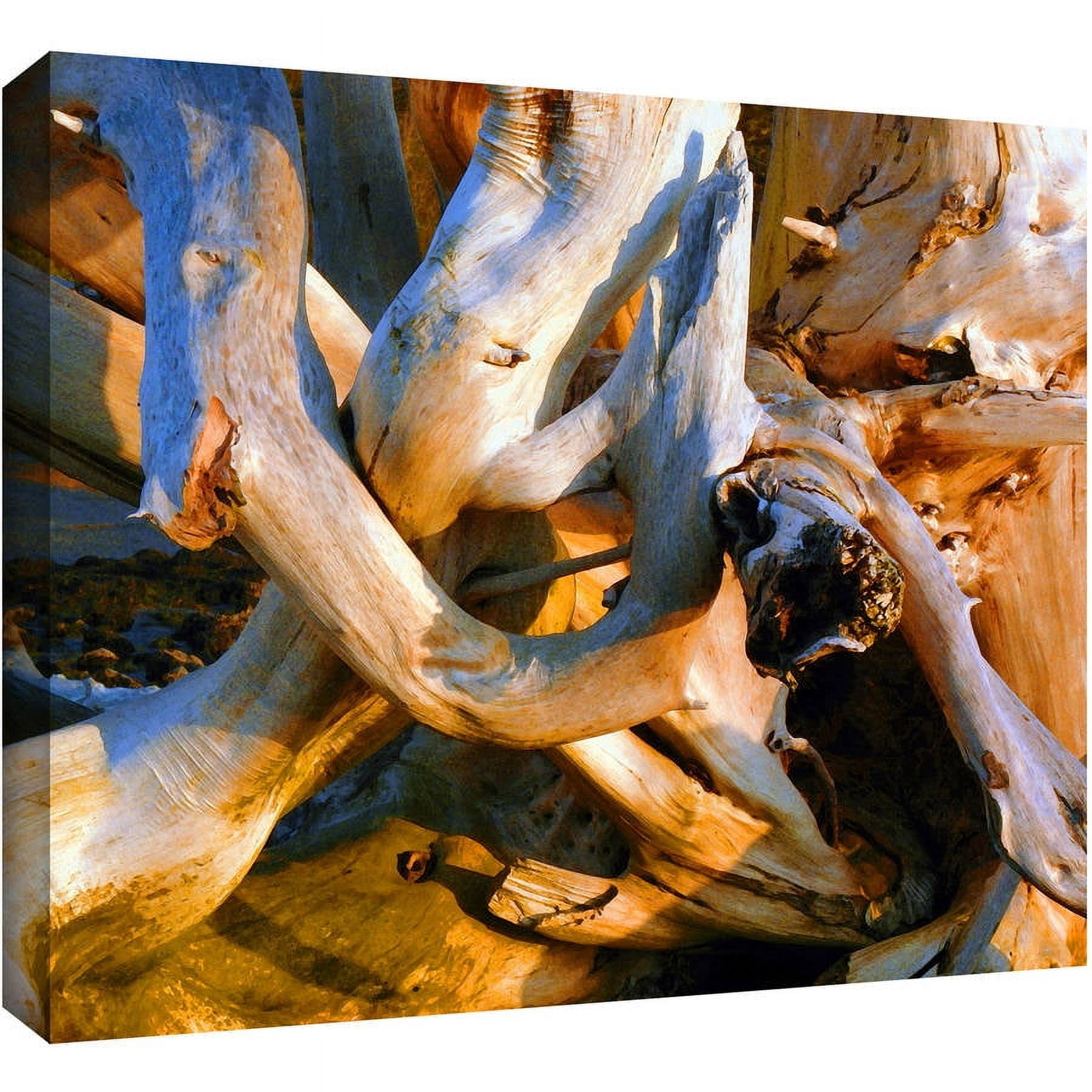 Dean Uhlinger "Drift Log Detail" Gallery-Wrapped Canvas