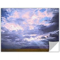 Dean Uhlinger "Echo Cliffs Monsoon" Removable Wall Art