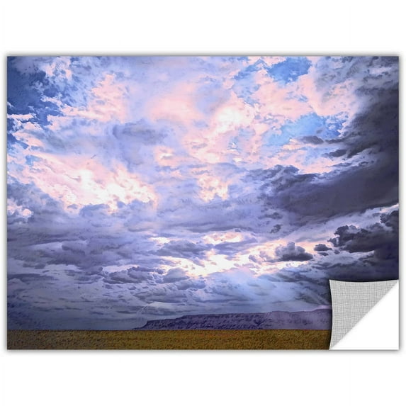 Dean Uhlinger "Echo Cliffs Monsoon" Removable Wall Art