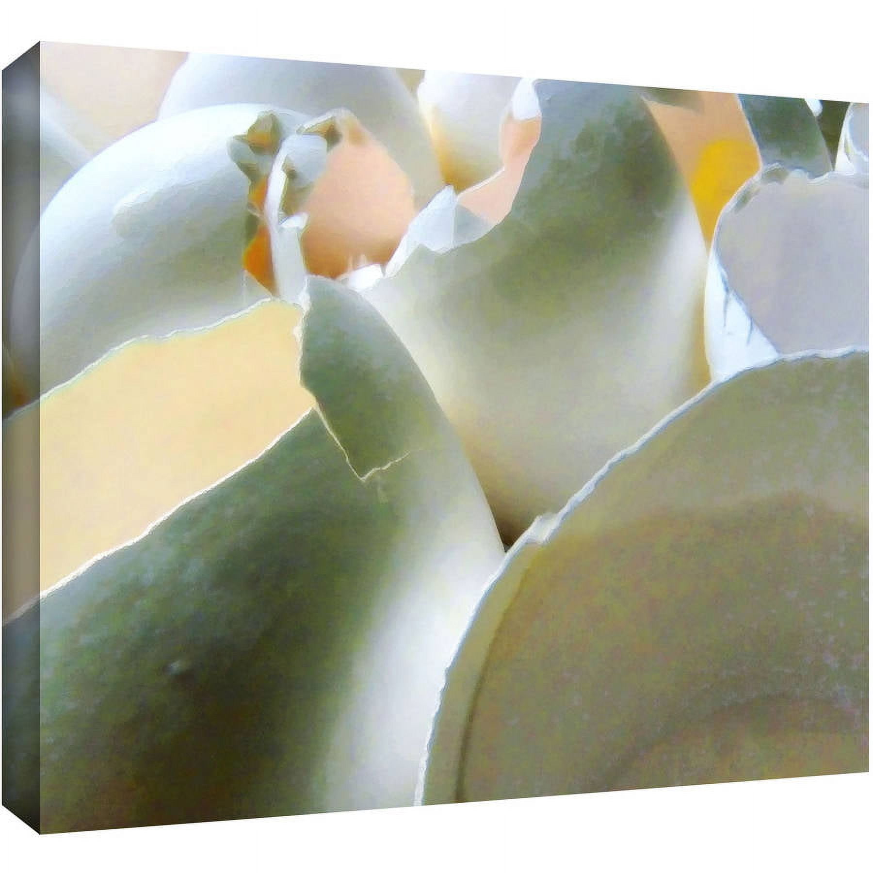Dean Uhlinger "Egg Shells" Gallery-Wrapped Canvas