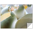 thumbnail image 1 of Dean Uhlinger "Egg Shells" Removable Wall Art Graphic, 1 of 2