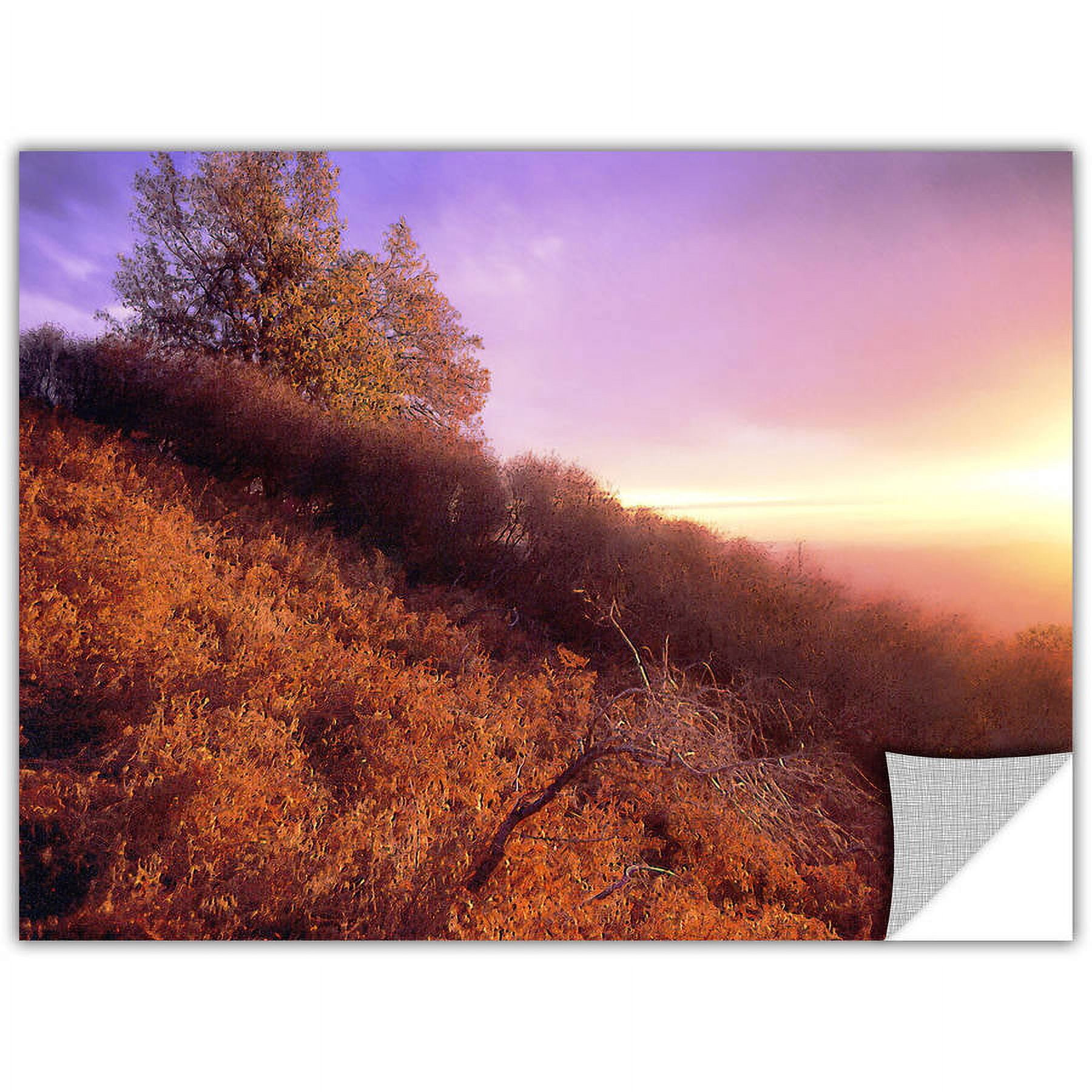 Dean Uhlinger Fire Light, Art Appeelz Removable Wall Art Graphic