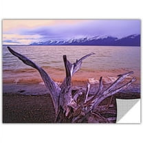 Dean Uhlinger "Grand Tetons Storm Light" Removable Wall Art