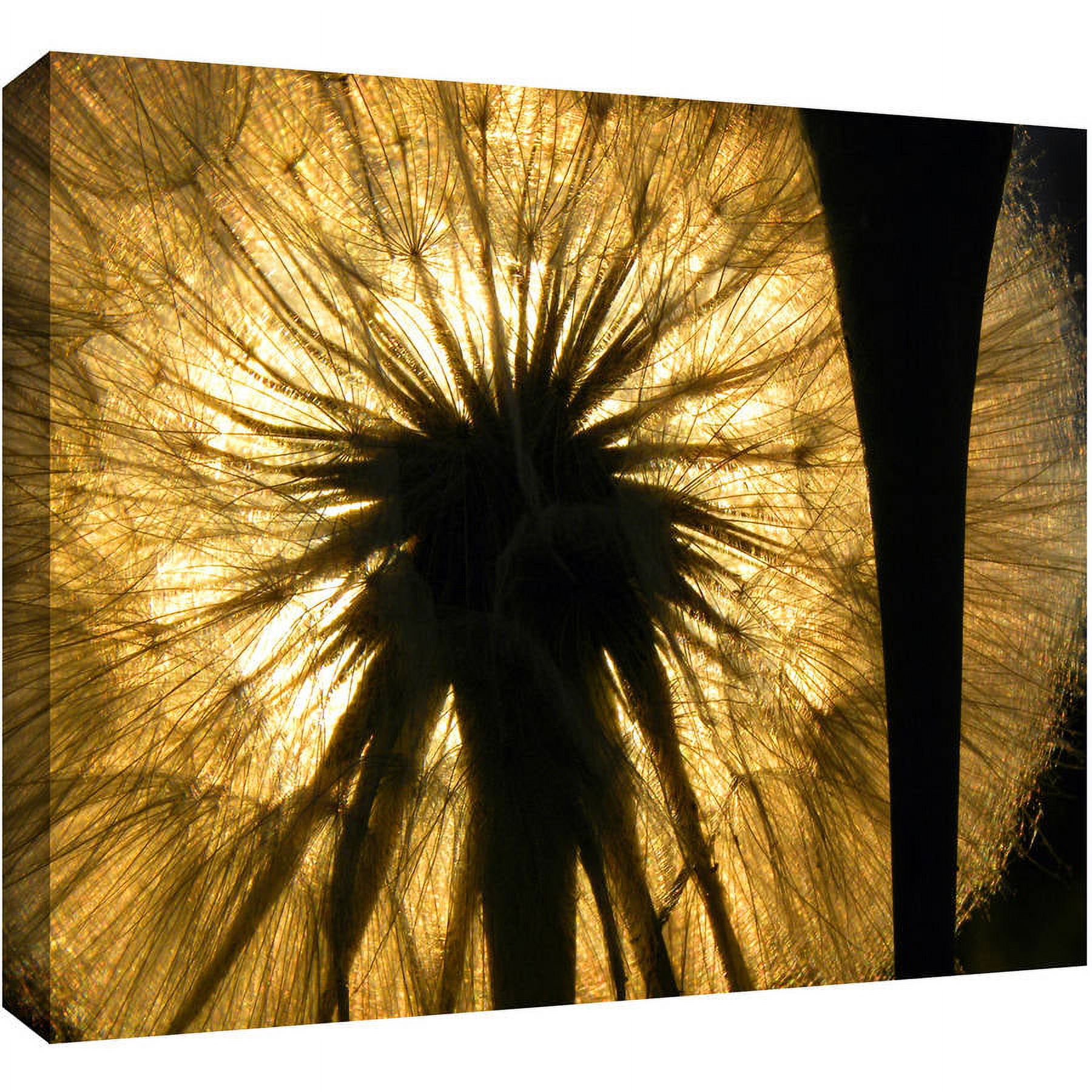 Dean Uhlinger "Heart Of A Lion 2" Gallery-Wrapped Canvas