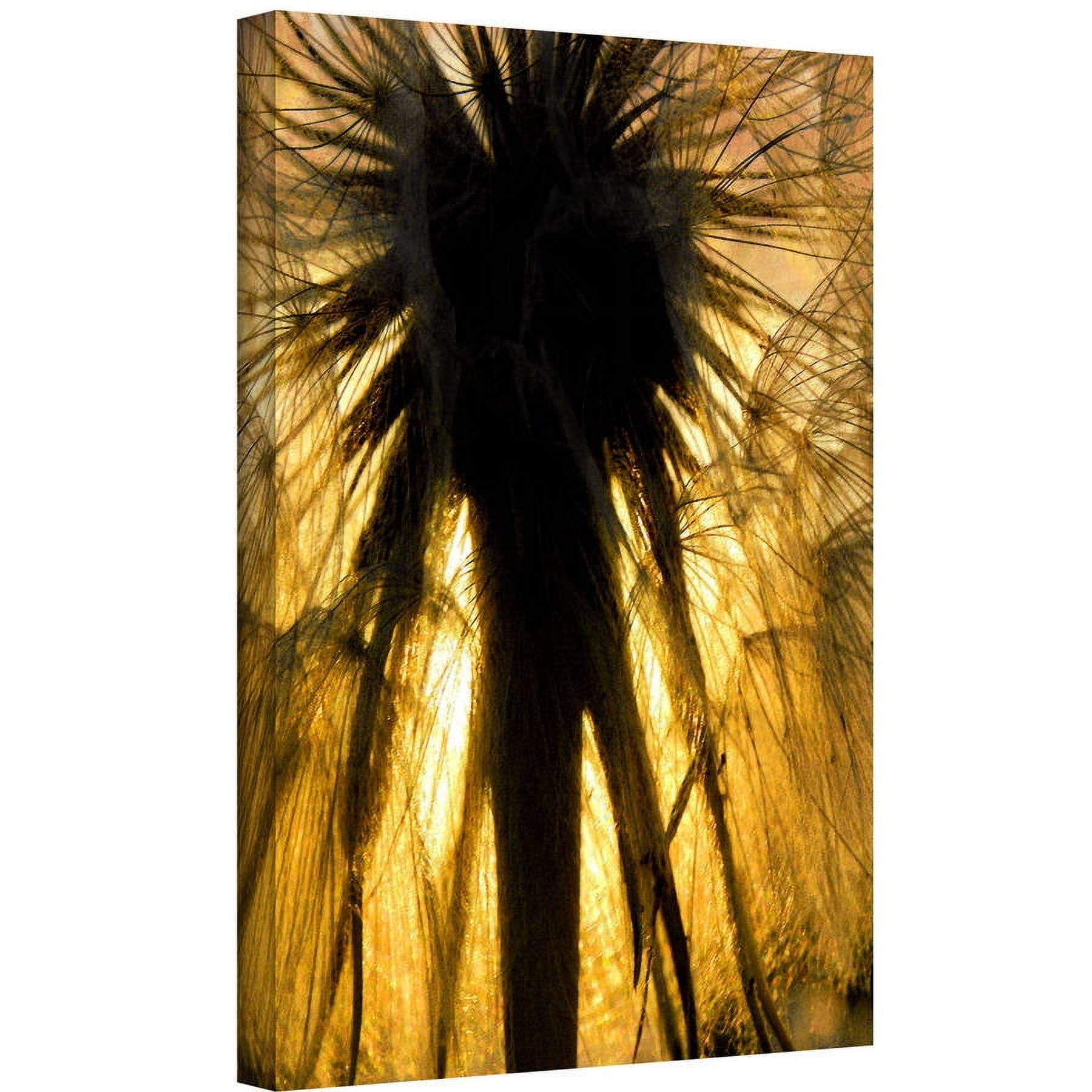 Dean Uhlinger "Heart Of A Lion-Dandelion" Gallery-Wrapped Canvas