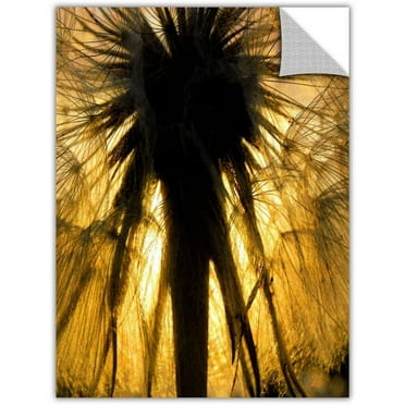 Dean Uhlinger Heart Of The Lion-Dandelion, Art Appeelz Removable Wall Art Graphic