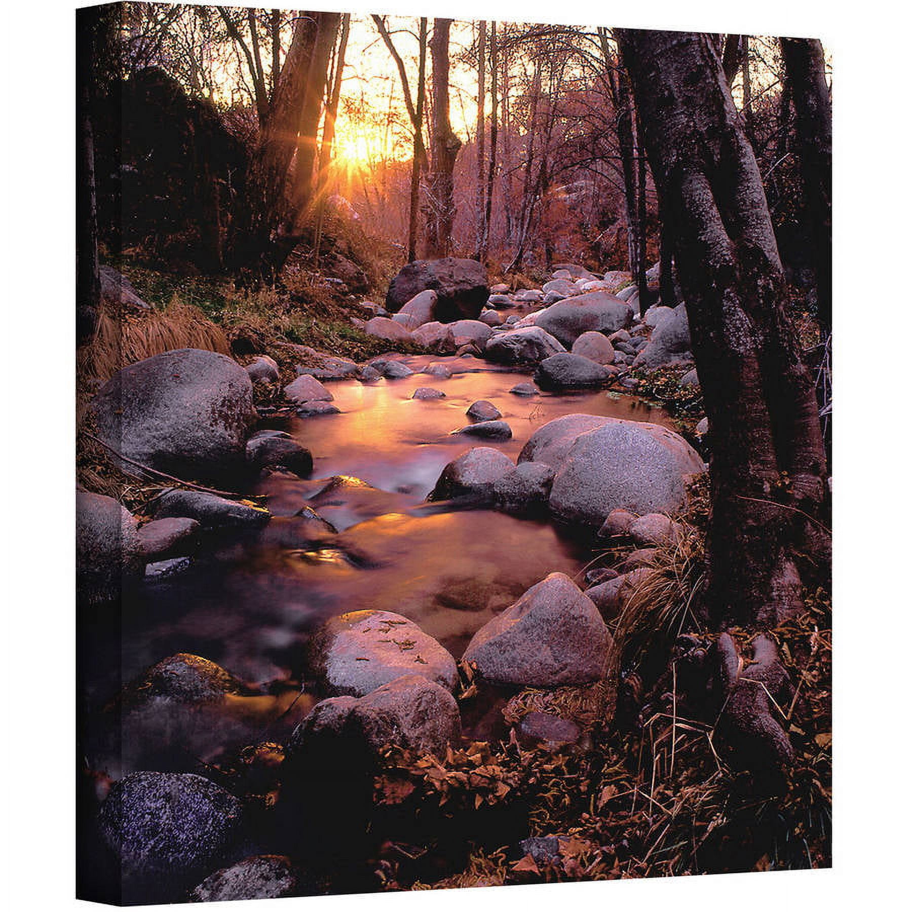 Dean Uhlinger "Homeland Wilderness" Gallery-Wrapped Canvas