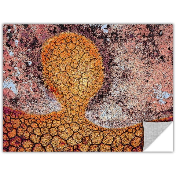 Dean Uhlinger "Iktomi" Removable Wall Art Graphic