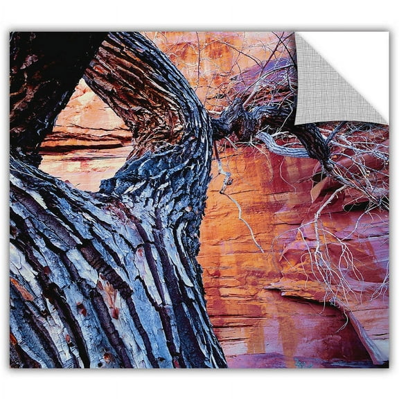 Dean Uhlinger "In The Escalante" Removable Graphic Wall Art