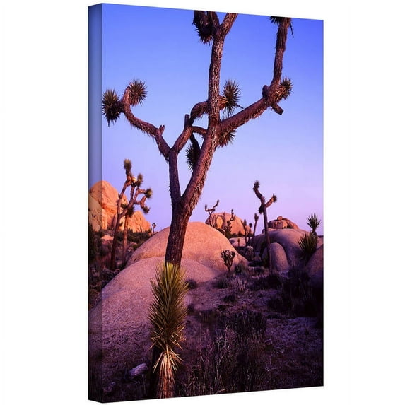 Dean Uhlinger "Joshua Tree Twilight" Gallery-Wrapped Canvas