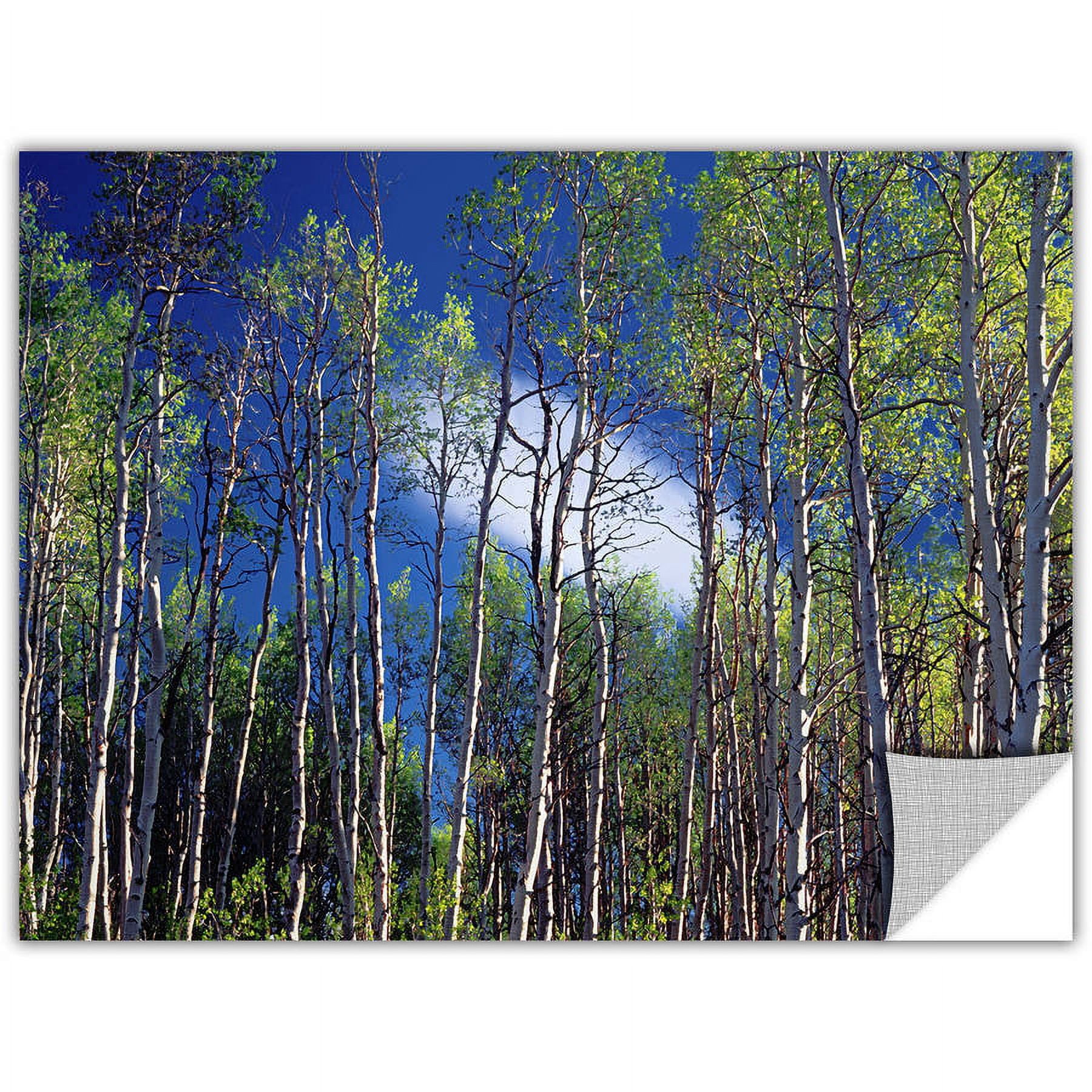 Dean Uhlinger "Lone Cloud" Removable Wall Art