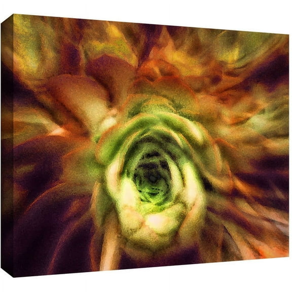 Dean Uhlinger "Manana Suculentos" Gallery-Wrapped Canvas