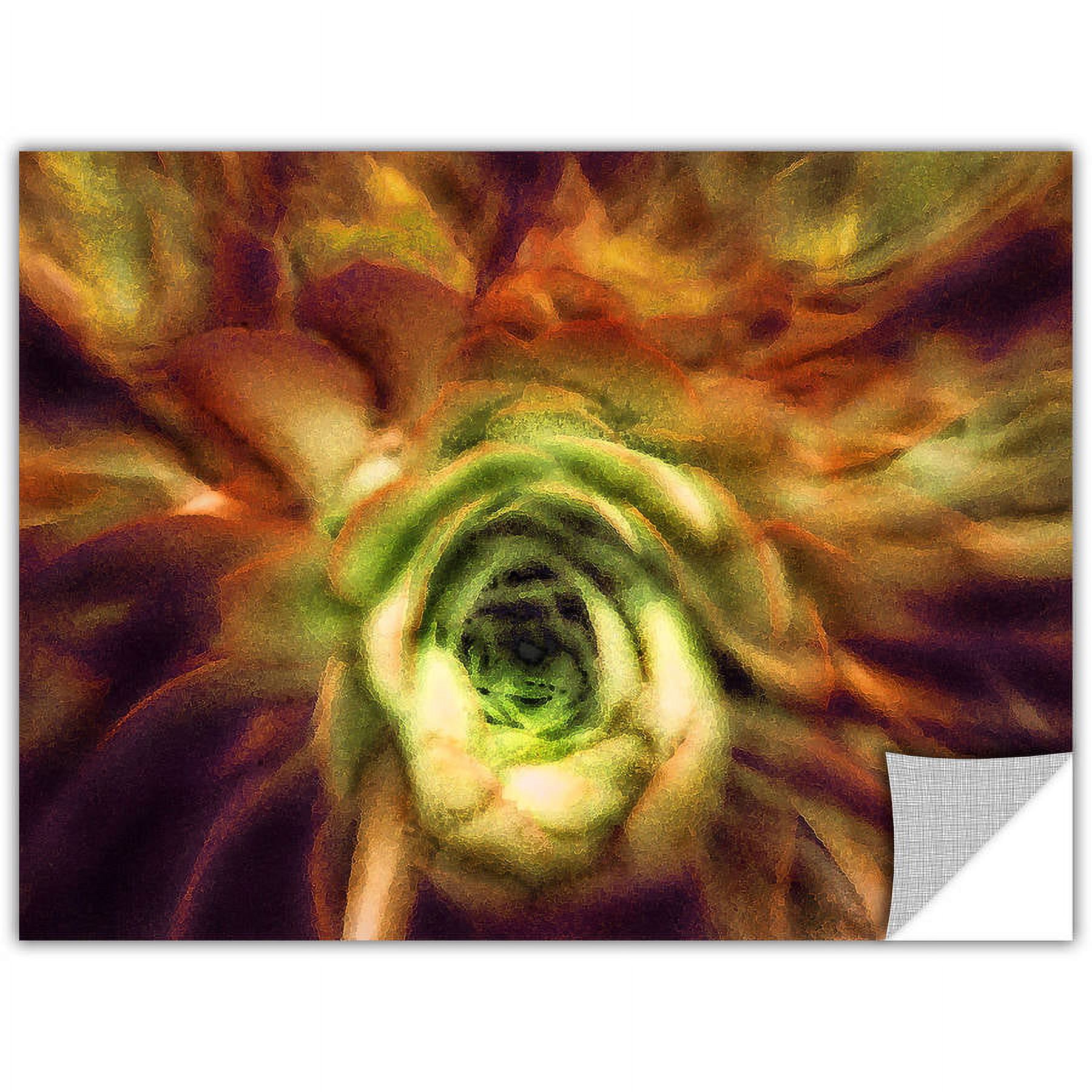 Dean Uhlinger "Manana Suculentos" Removable Wall Art Graphic