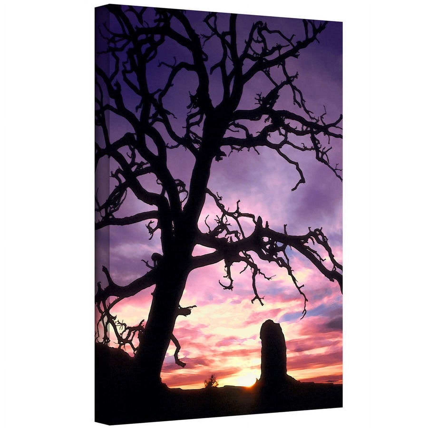 Dean Uhlinger "Maze Sunset Canyonlands" Gallery-Wrapped Canvas