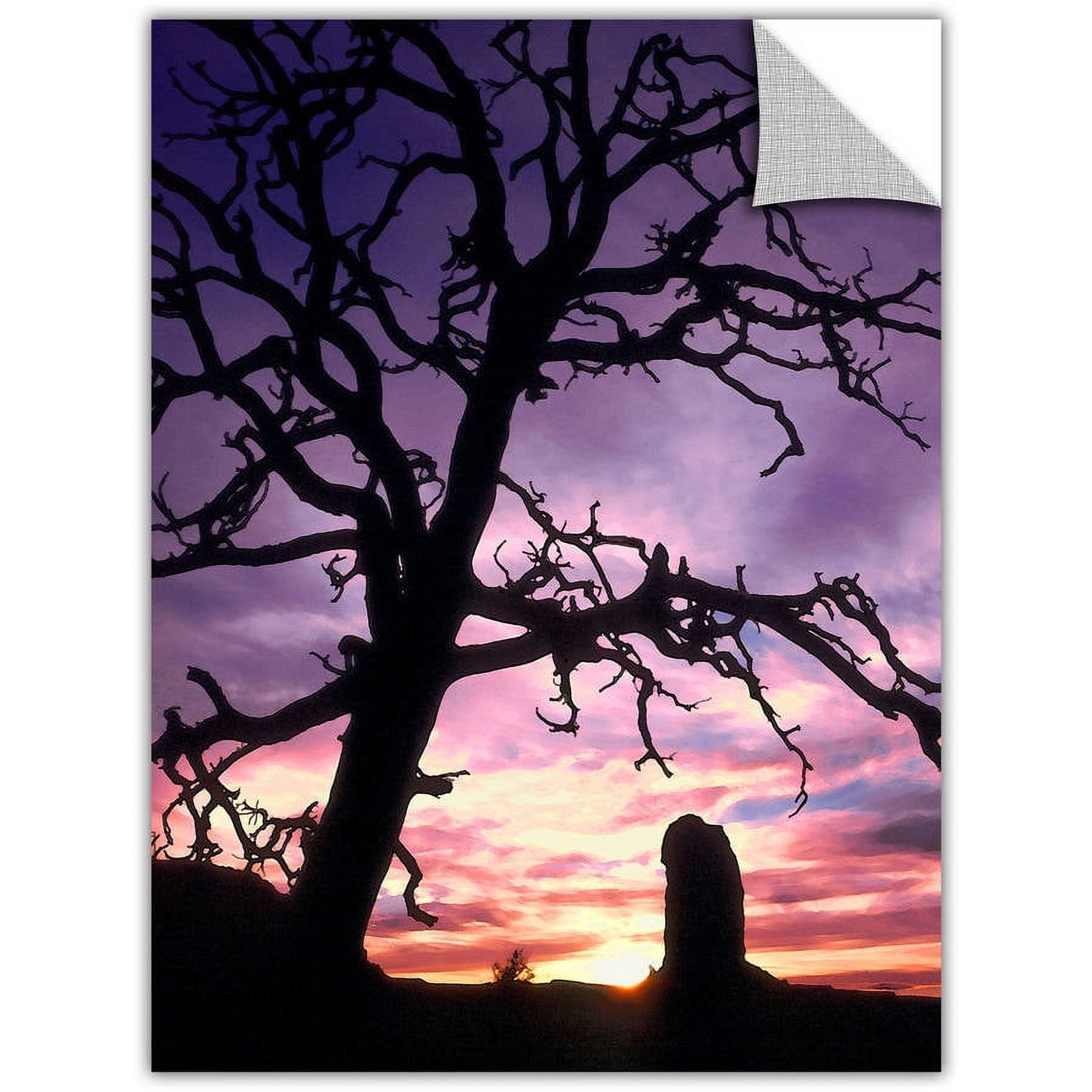 Dean Uhlinger "Maze Sunset Canyonlands" Removable Wall Art